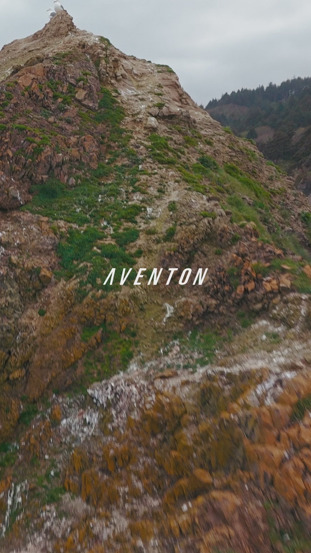 Aventon Level 3 Step Through